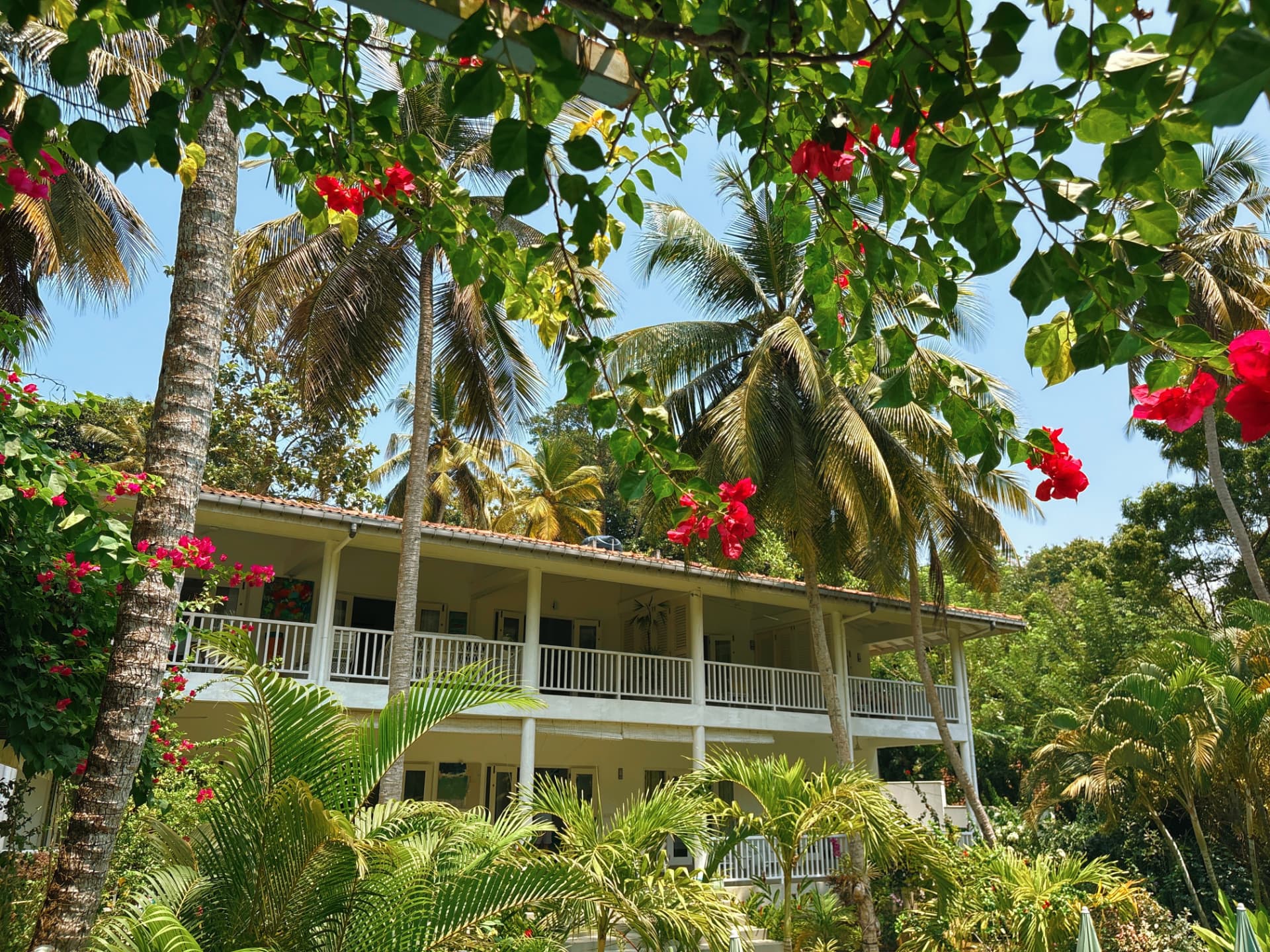 Colonial-style retreat house nestled among palm trees and red bougainvillea