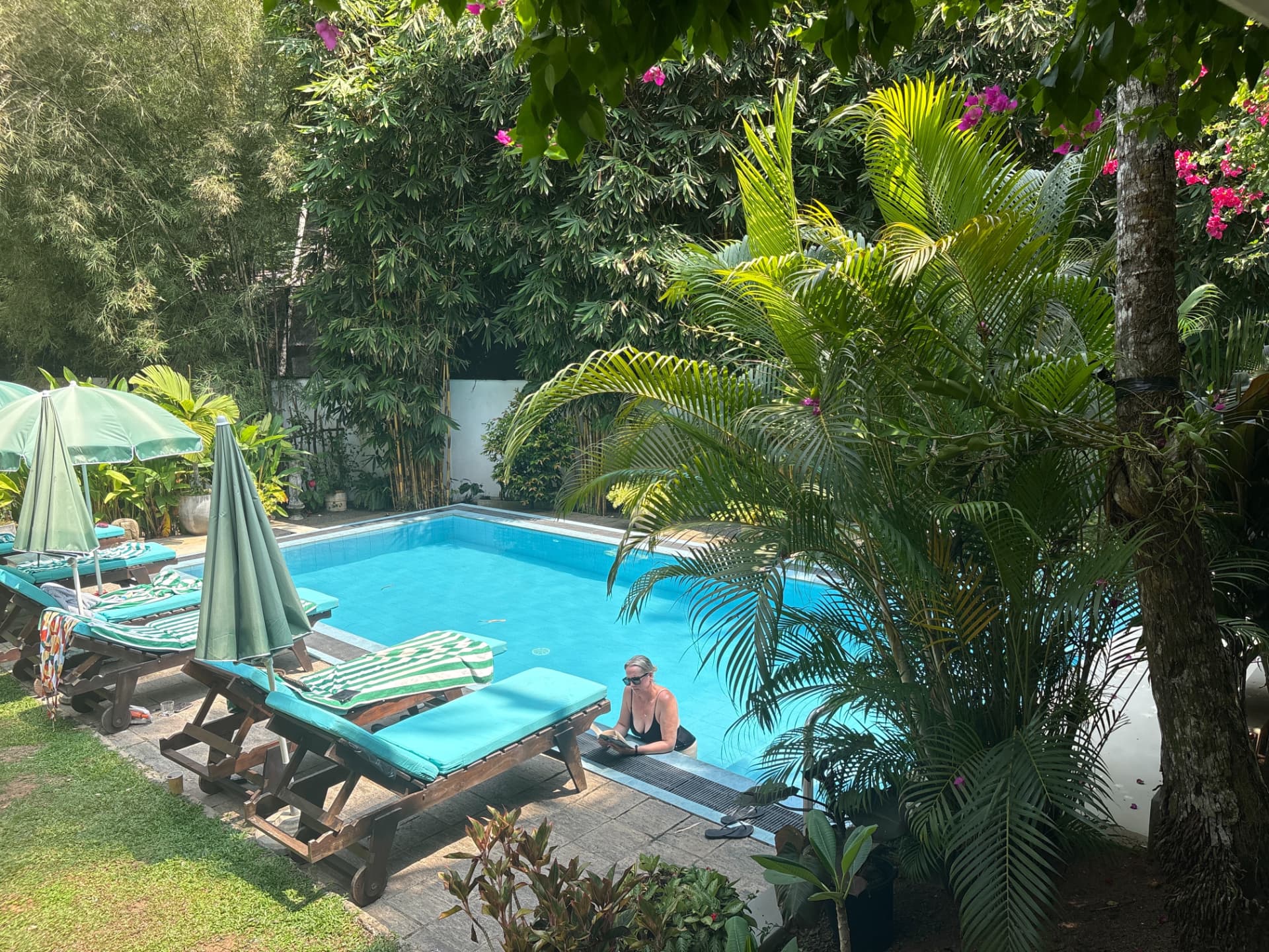 Swimming pool set in a tropical garden with palm trees and bougainvillea