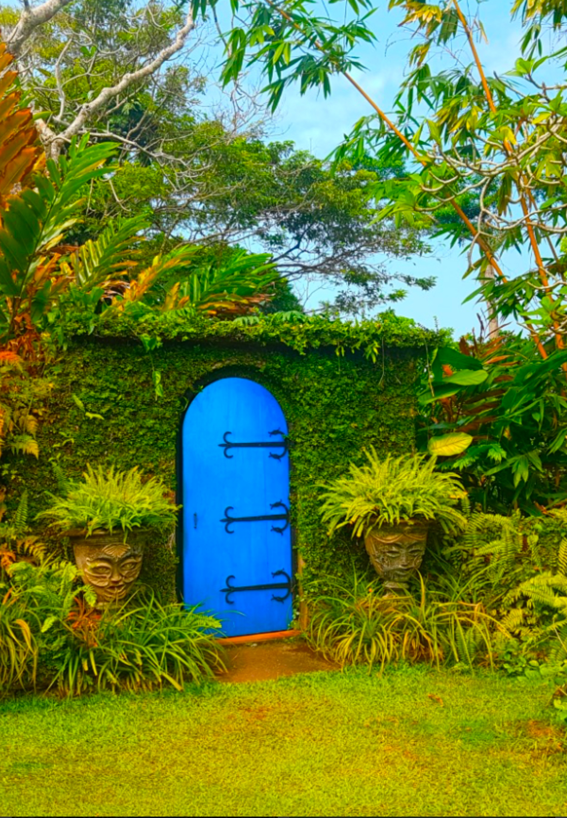Bright blue arched door set into a moss-covered garden wall