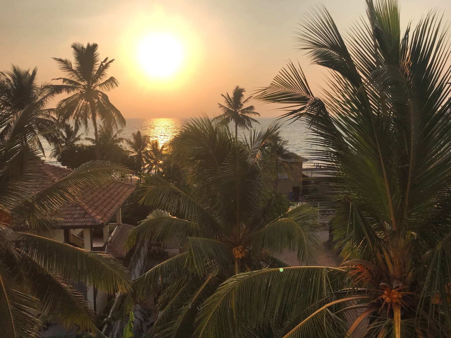 Sunset over the ocean framed by coconut palms